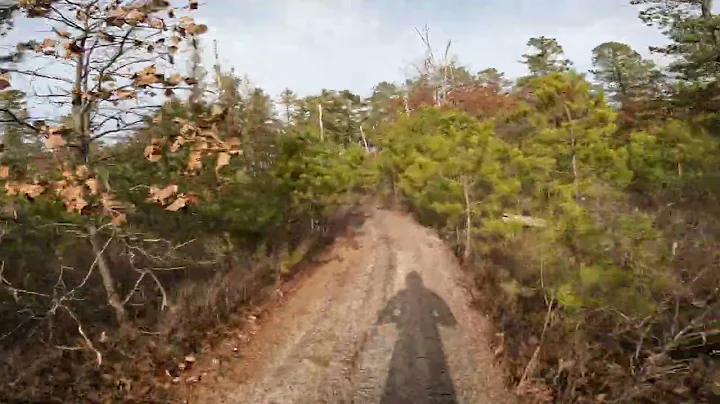 Solo Ride in the Pine Barrons
