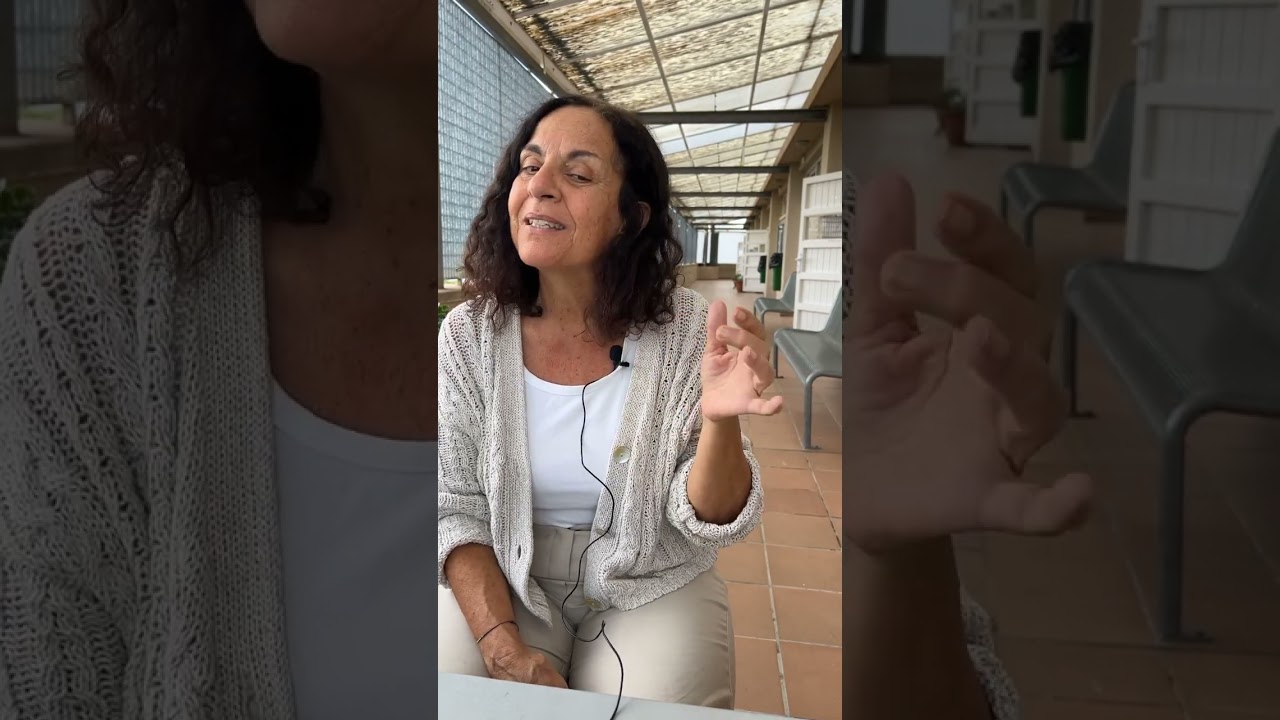 PROJECTES INTERNACIONALS A L'ESCOLA