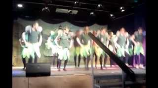Hochsteiger Hexen Männerballett Zunftball 2013 Fasnet Lauterbach