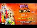 Shrimad bhagwad geeta vol1  i oriya i bhikari bal i mitali chinara i full audio song