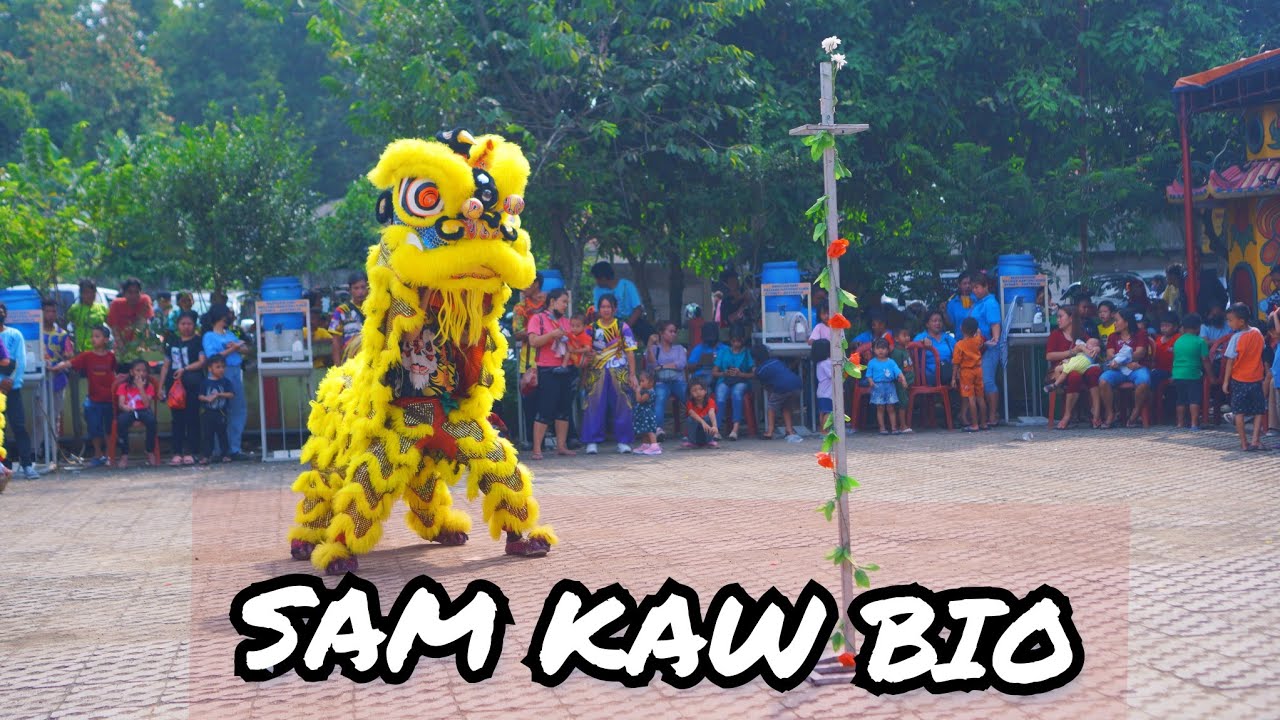 Sam Kaw PENAMPILAN BARONGSAI SAM KAW BIO DI SEJIET CHENG BU BIO 🔥 - YouTube