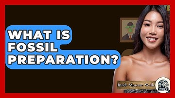 What Is Fossil Preparation? - Inside Museum Walls