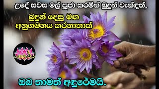 බුද්ධ චරිතය ගැන පරතෙරටම දැනුම තිබුණත් බුද්ධ දේශනාව පරිශීලනය කරන තාක් ඔබ තාමත් මඬ ⁣ගො⁣හුරේමයි.