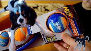 Нерф Игрушки Для Собак Nerf Dogs Vs Chuk It