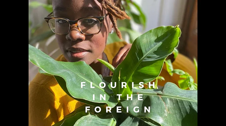 Black Girl Burnout + Living Abroad with Kelley Bon...