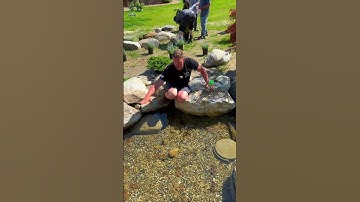 This is what a wetland filter looks like! A full blow natural filtering system for your pond! 😃