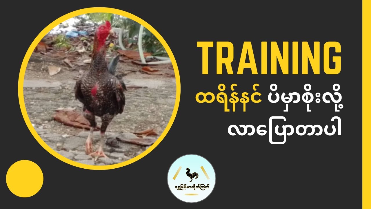 Training ပိမှာစိုးလို့ သတိလာပေးတာပါ