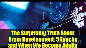 The Surprising Truth About Brain Development: 5 Epochs and When We Become Adults