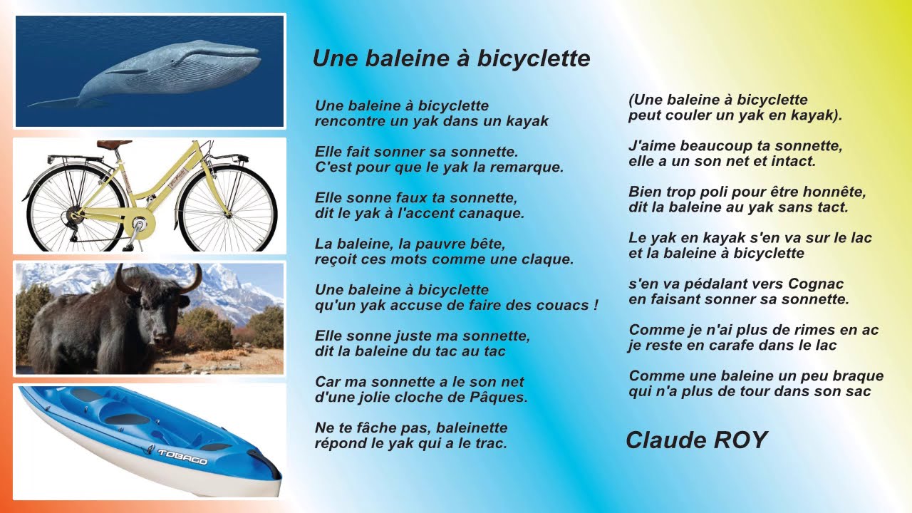 une baleine à bicyclette pésie