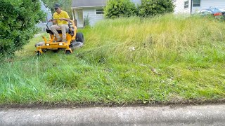 I SAVED this Homeowner from City VIOLATION | When Nature is Left UNTOUCHED for Years