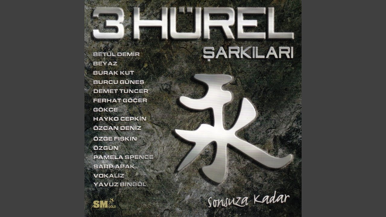 {artistName} adlı sanatçının {trackName} müzik videosunu izle