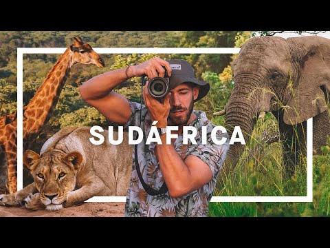 Vídeo: Viatge a Sud-àfrica