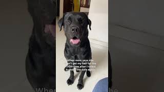 How can she do this??🥺#shorts