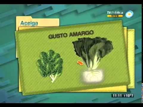 Preview de Todo sobre la acelga