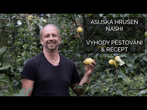 Video: Co je kosui asijská hruška: Jak pěstovat kosui asijské hrušky