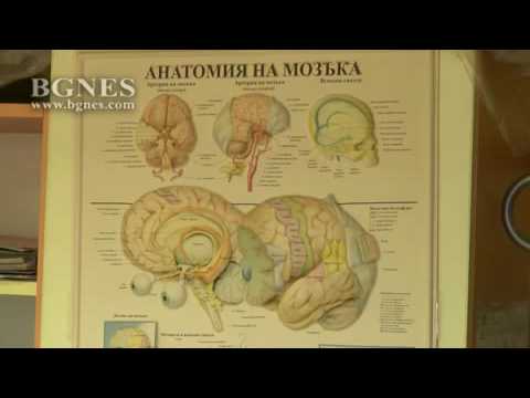 Видео: Политиката за намаляване на вредата в Израел: какво е постигнато и какво още трябва да се направи?