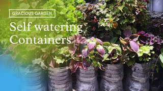 Self watering pot from bigger containers