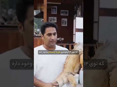 متفاوت ترین باغ وحش ایران یک تجربه ی بی نظیر حیات وحش تا حالا حیوانات وحشی از نزدیک دیدین