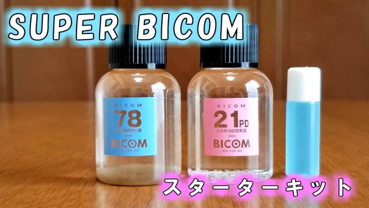 バイコム 水槽立ち上げ Super Bicom スターターキットを使う バクテリア Youtube