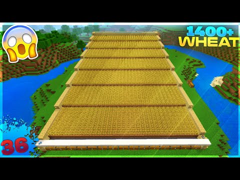 I MADE GIANT WHEAT FARM 😱😱 || 1400+ WHEAT IN ONE SHOT || MINECRAFT PE SURVIVAL SERIES Ep No.36 ||