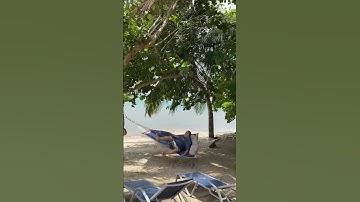 Gramps VS Hammock 🌴  #shorts #hammock #fail  #humor