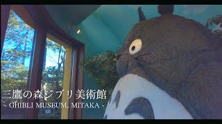 ある日の風景