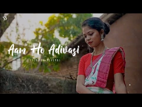 Am Ho Adivasi   New Santhali lofi slowed Reverb song Santh Beatz