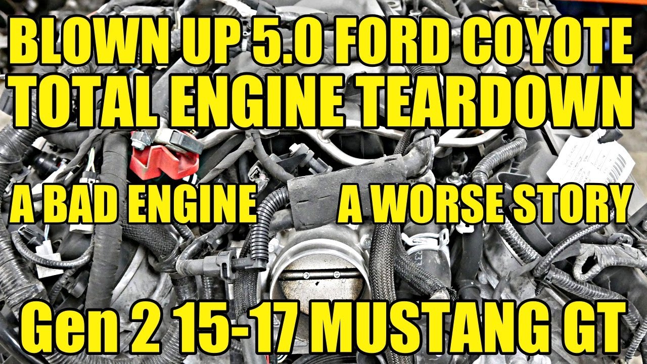 15-17 Ford Mustang 5.0 Coyote BLOWN ENGINE Teardown. A Core With a Story You'll Want To Hear!