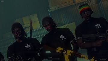 Cooper Czajkowski | Apollo Networks #2