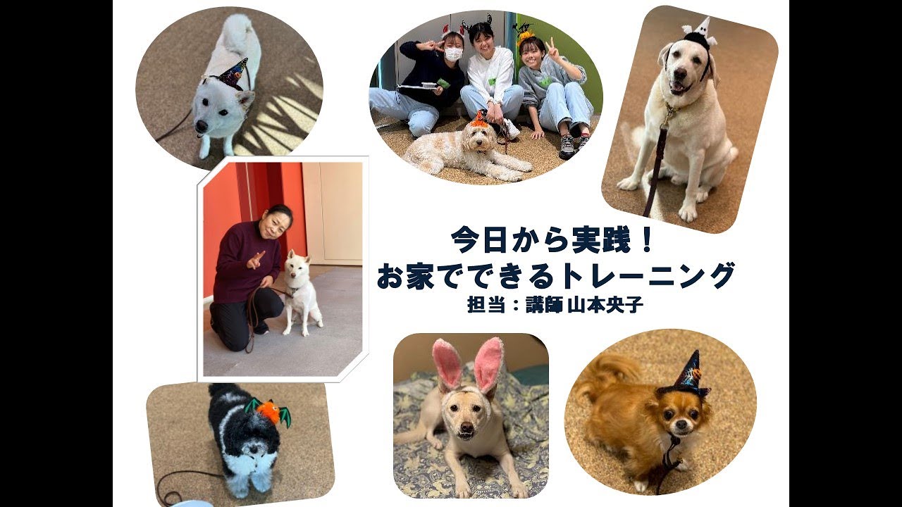 【