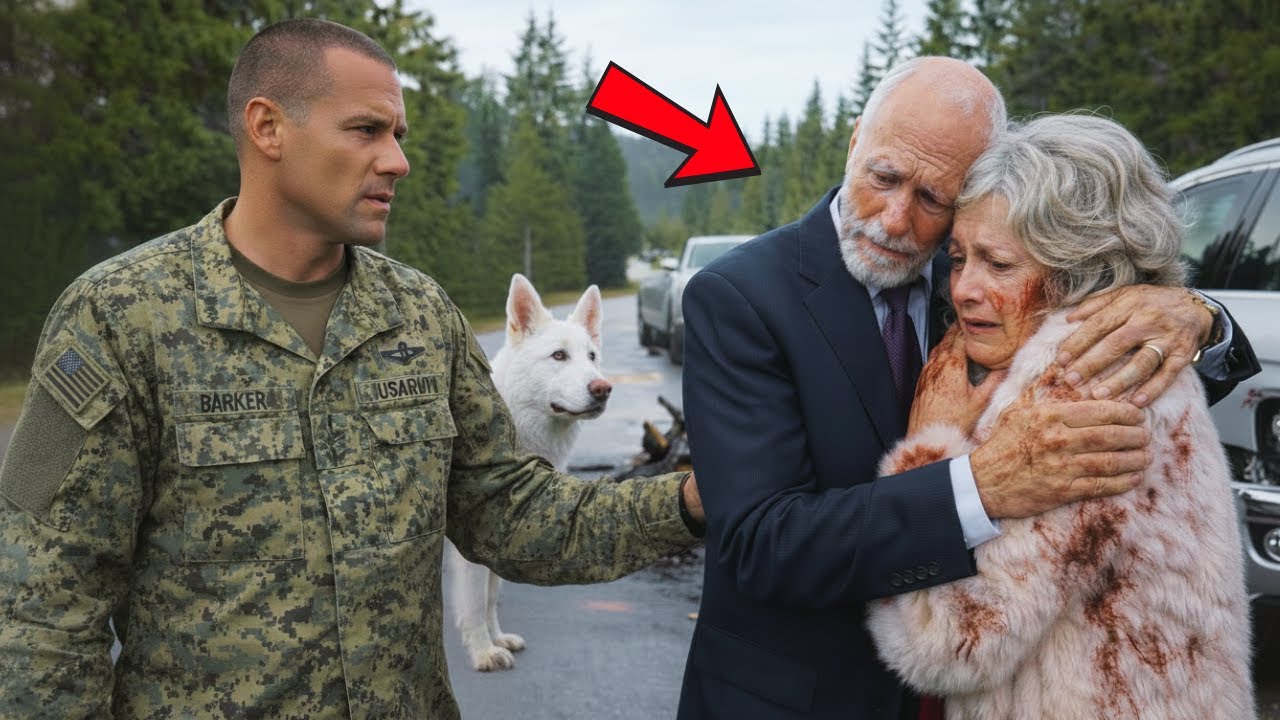 A Navy SEAL Saved an Elderly Couple in a Blizzard—Their Gift Stunned the Town