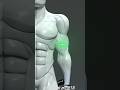 Exercise for fix bicep size #bicepsworkout #armworkout