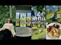 Thekkadyil ഒരു സൂപ്പർ holiday destination | staycation🌿🌴|തെയ്ല തോട്ടത്തിൽ അടിപൊളി സ്റ്റേക്കേഷൻ 🦨