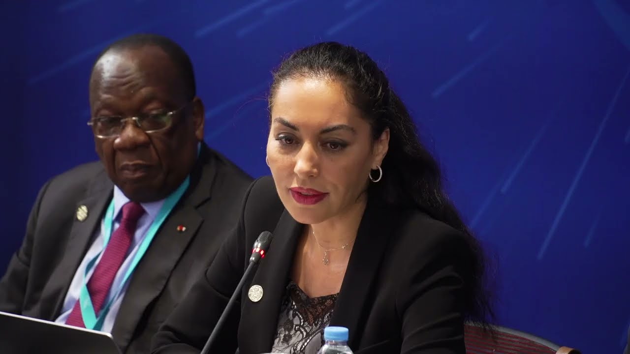 Cheikh Tidiane GADIO, Ph.D. Président de la Commission Diplomatie et Relations Internationales du MFPA discute de la souveraineté aux MEDays 2024