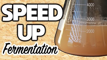 How to MAKE A YEAST STARTER (BEER)