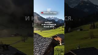 Надеющиеся на Господа обновятся в силе #shorts #Библия