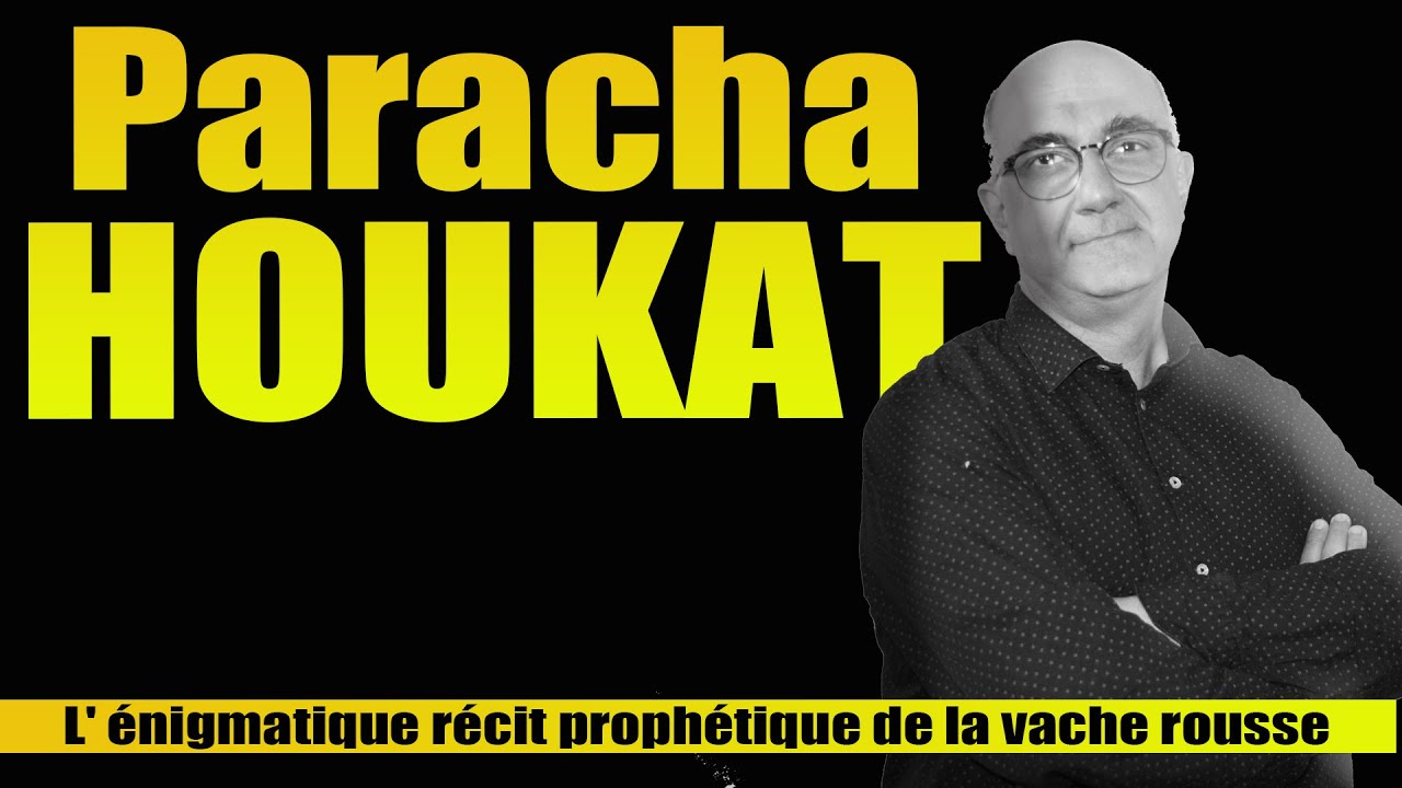 Paracha HOUKAT : L' énigmatique récit prophétique de la vache rousse ...