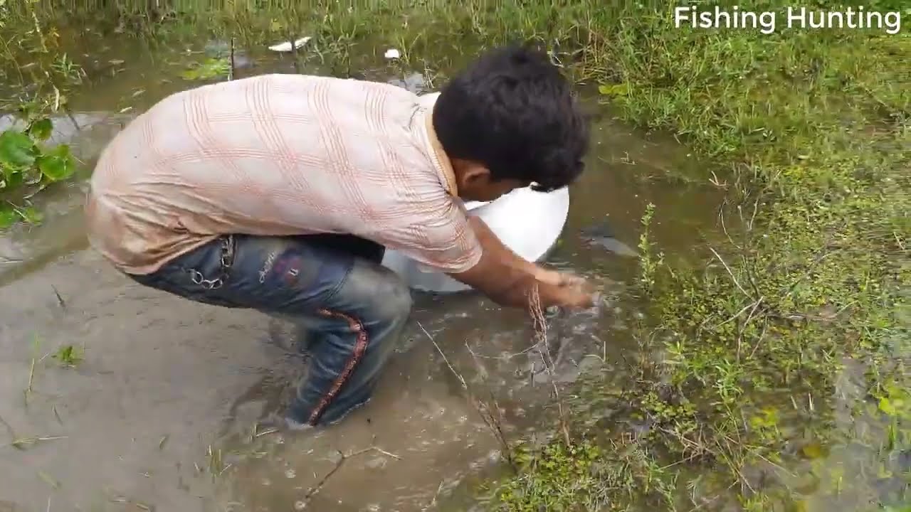 Unique Hand Fishing  Traditional Village Boy Is catching Big River  Catfish In River