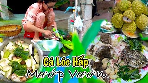 CÁ LÓC HẤP MƯỚP VƯỜN , Trời Mưa Hái Mãng Cầu Vườn Sai Trái Ở MIỀN TÂY