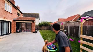 Gym Grind, City Vibes & Frisbee Chaos With My Dogs Vlog