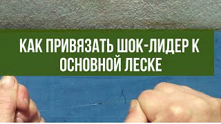 Узел для привязывания шок-лидера к основной леске