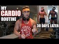 MY DAILY CARDIO | Why 'They' Don't Tell You Everything... | Zac Perna