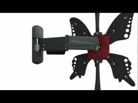 Model P34 Presentation