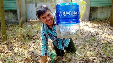 Lần đầu bẫy rắn và kết quả (trapping snakes for the first time)