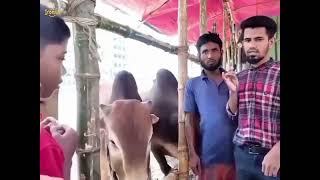 রাগ করলা? 😁😁😁