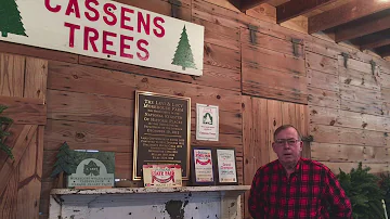 Dan Cassens: Starting Your Own Christmas Tree Farm