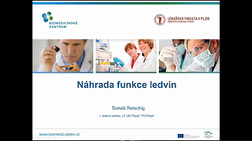 Jaké jsou normální ledviny?