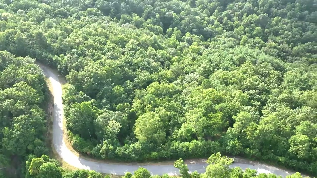 6.5 Acres for Sale in Wilkes County North Carolina!