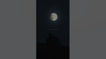 Witt Lowry Into Your Arms Lyrics Ft Ava Max Feels Like I M Always Waitin Shorts Avamax 