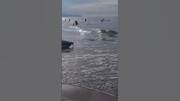 Bãi tắm thủy tiên. Biển vũng tàu.